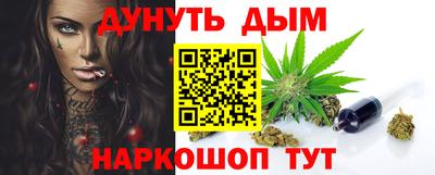 гидра Заводоуковск