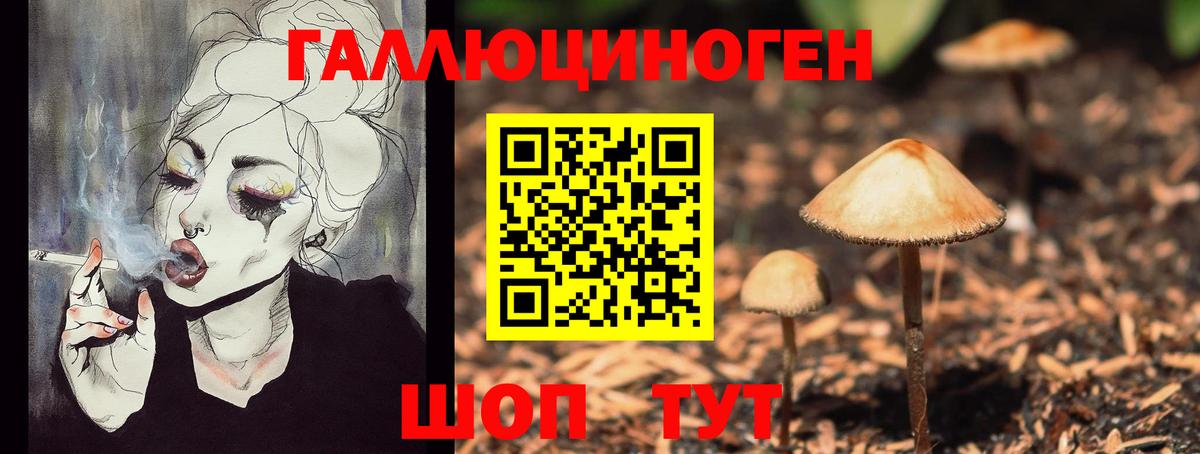 Галлюциногенные грибы Cubensis  Псилоцибиновые грибы прущие грибы  Мариинск  Вход с VPN 