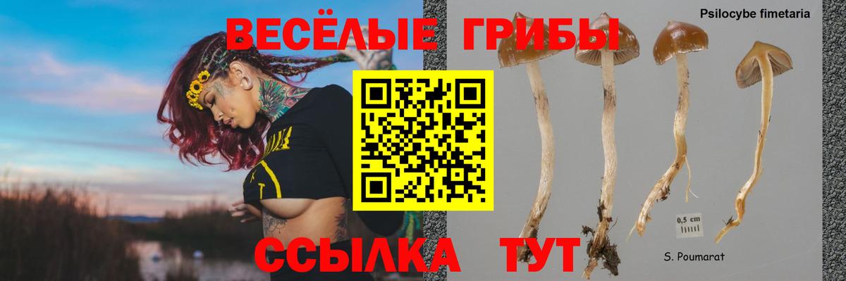 Псилоцибиновые грибы Magic Shrooms Мариинск